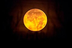 Бобровую Луну заметили жители России