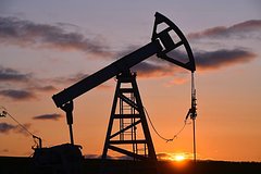 Большинство индийских заводов начали избегать нефти из России