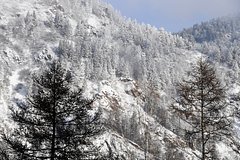 Озвучена новая версия пропажи семьи Усольцевых