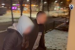 Появились детали о поведении обезглавившей сына под Москвой матери во время задержания